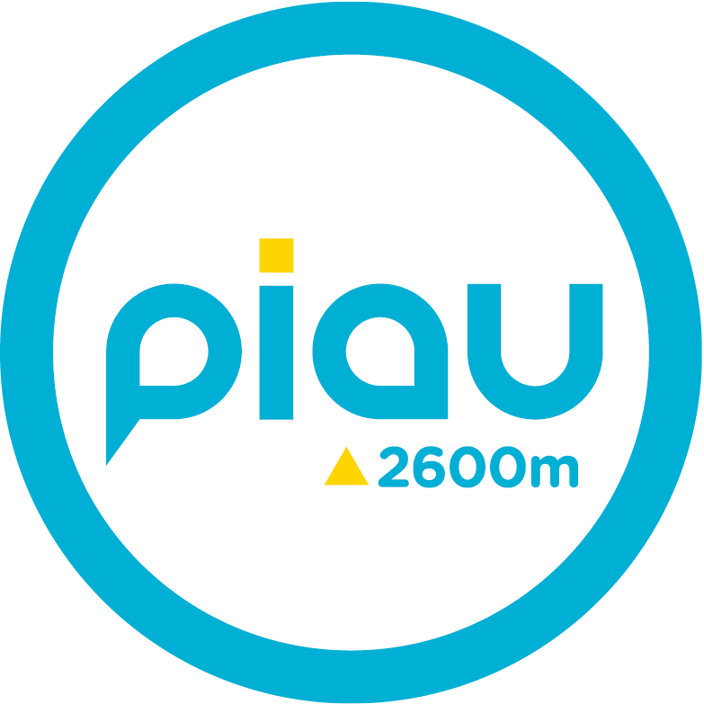 piau logo